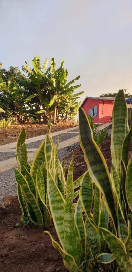 Maison d'hôtes Au Coeur Des Plantations à La Possession Extérieur photo