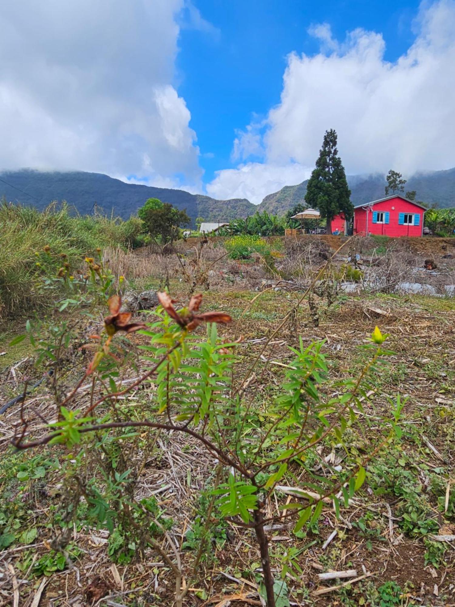 Maison d'hôtes Au Coeur Des Plantations à La Possession Extérieur photo